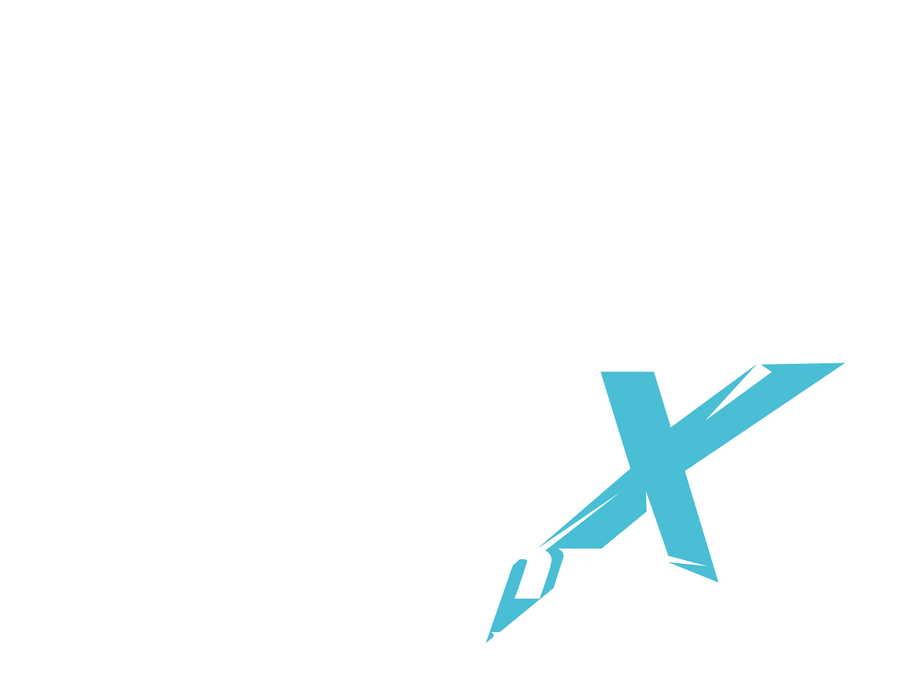 Logo BMX BESANCON DN FLY blanc bleu vecto avec aigle