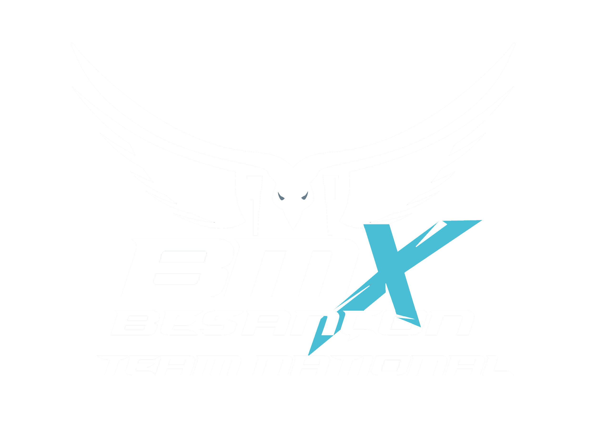 logo + Team nat blanc bleu