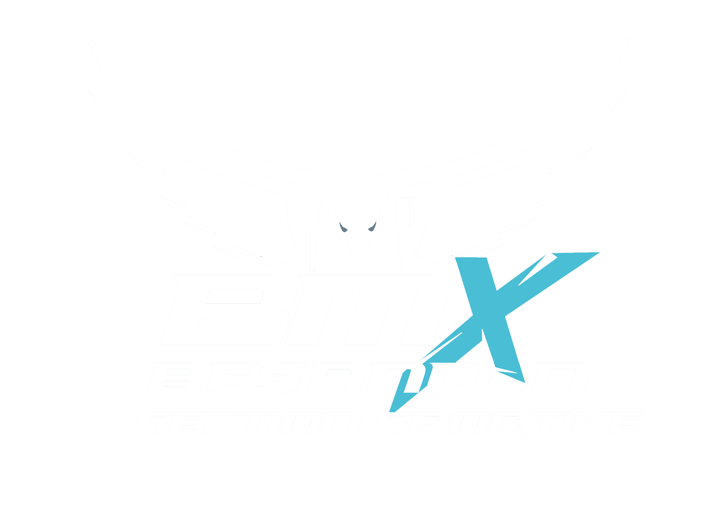 logo + section sport blanc bleu